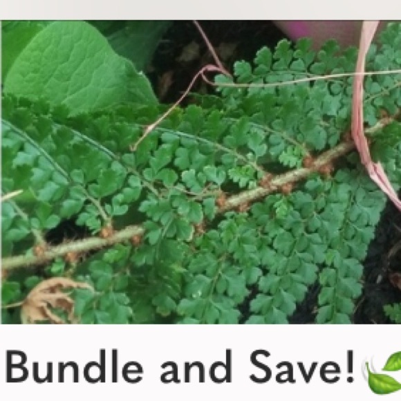 ๐ฅ BAGS ๐/โก๏ธ PURSES ๐ ๐ - Picture 9 of 16